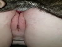 Lady's fat pussy got smashed hard by dog's cock